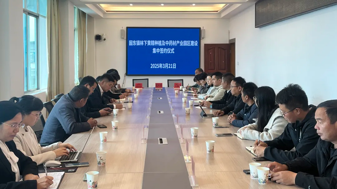 政企攜手繪藍圖 林下經濟助振興